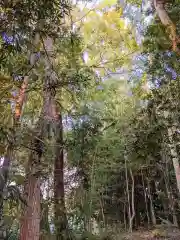 桜木神社(香川県)