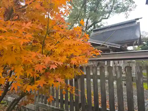 邇々杵神社(滋賀県)