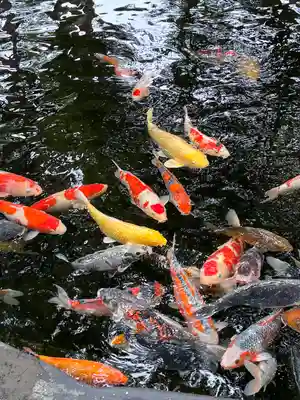 伊豆山神社(静岡県)