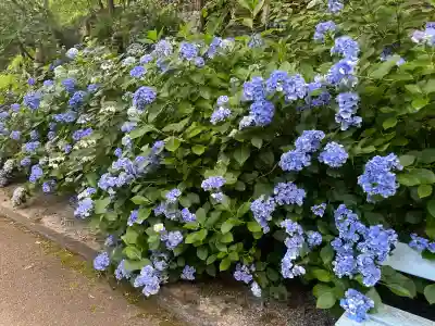長谷寺(奈良県)