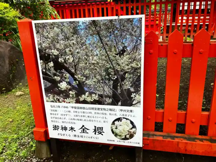 金櫻神社(山梨県)