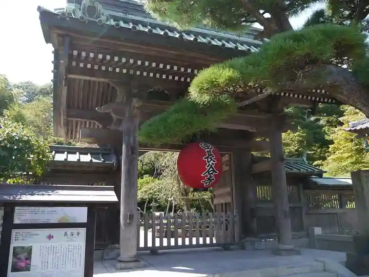 長谷寺の山門・神門