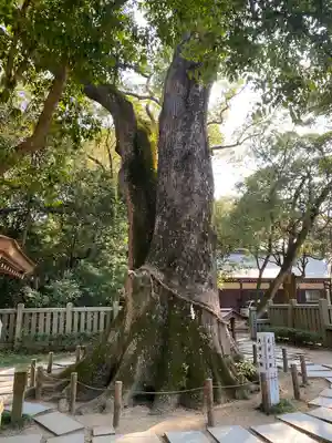 伊弉諾神宮(兵庫県)