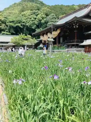 宮地嶽神社(福岡県)