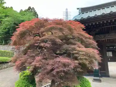 貴雲寺(神奈川県)