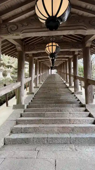 長谷寺(奈良県)