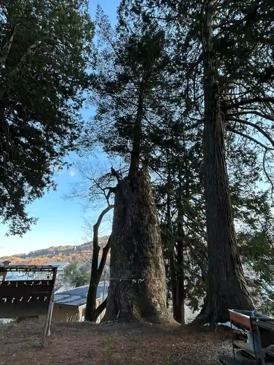 若宮八幡神社(山梨県)
