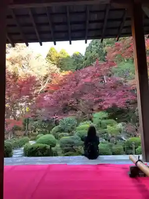 金剛輪寺(滋賀県)