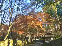 金剛輪寺(滋賀県)