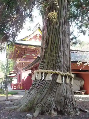 志波彦神社・鹽竈神社の自然