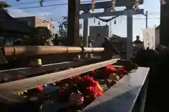 豊景神社の鳥居