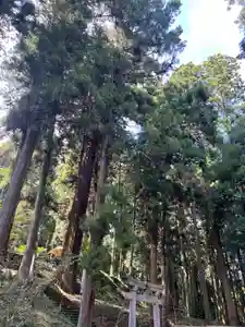 大宮温泉神社(栃木県)(2023年08月31日(木) 13時26分36秒投稿)