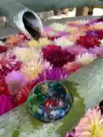 岡寺(龍蓋寺)(奈良県)