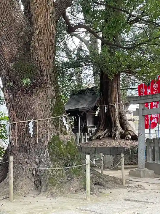 諏訪神社(東京都)