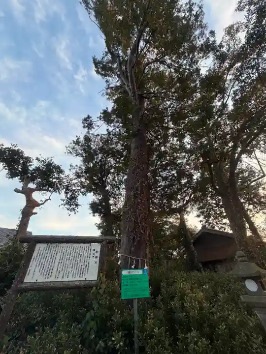 八幡宮の{uncategorized: "未分類", other: "その他", undefined: "問題あり", building: "その他建物", grave: "お墓", sacred_gate: "鳥居", guardian: "狛犬", statue: "像", buddha: "仏像", history: "歴史", nature: "自然", garden: "庭園", animal: "動物", pagoda: "塔", temizu: "手水舎", mountain_gate: "山門・神門", sanctuary: "本殿・本堂", subordinate: "末社・摂社", art: "芸術", scenery: "景色", jizo: "地蔵", ema: "絵馬", goshuin: "御朱印", omikuji: "おみくじ", items: "授与品その他", amulet: "お守り", goshuincho: "御朱印帳", eats: "食事", festival: "お祭り", votive_dance: "神楽", shichigosan: "七五三参", wedding: "結婚式", experience: "体験その他", initially: "初詣", around: "周辺", anti_infection: "感染症対策"}