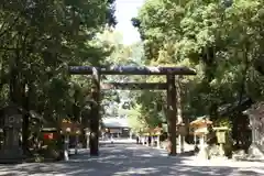 宮崎神宮の鳥居