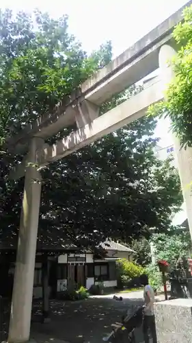 蔵前神社の鳥居