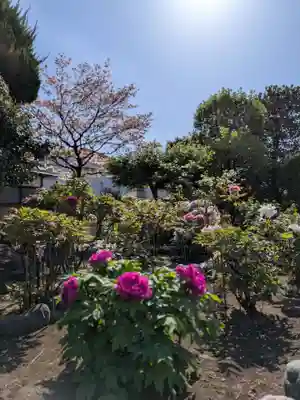 禅定院(東京都)