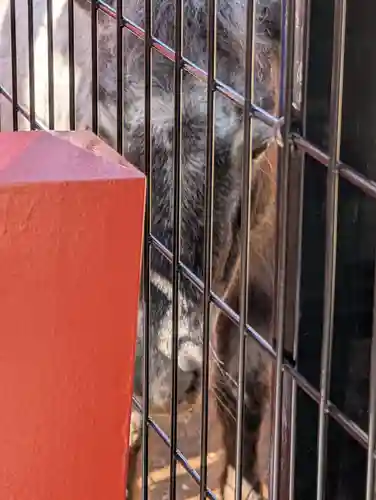 神田神社（神田明神）(東京都)