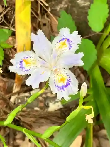大山祇神社(埼玉県)