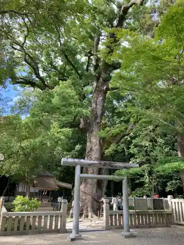 伊弉諾神宮(兵庫県)