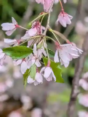 乃木神社(東京都)