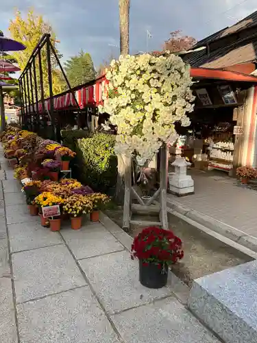 笠間稲荷神社(茨城県)