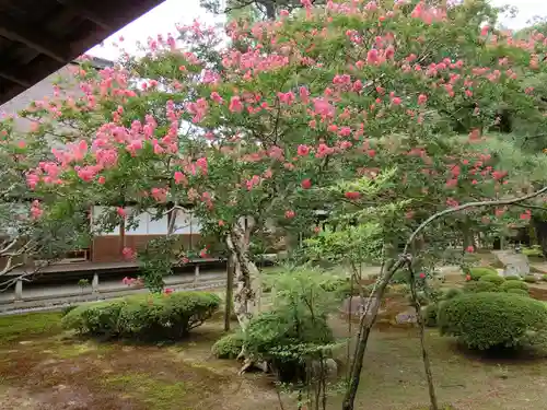 大覚寺の庭園