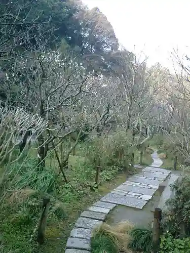 瑞泉寺の庭園