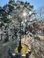 結城神社の{uncategorized: "未分類", other: "その他", undefined: "問題あり", building: "その他建物", grave: "お墓", sacred_gate: "鳥居", guardian: "狛犬", statue: "像", buddha: "仏像", history: "歴史", nature: "自然", garden: "庭園", animal: "動物", pagoda: "塔", temizu: "手水舎", mountain_gate: "山門・神門", sanctuary: "本殿・本堂", subordinate: "末社・摂社", art: "芸術", scenery: "景色", jizo: "地蔵", ema: "絵馬", goshuin: "御朱印", omikuji: "おみくじ", items: "授与品その他", amulet: "お守り", goshuincho: "御朱印帳", eats: "食事", festival: "お祭り", votive_dance: "神楽", shichigosan: "七五三参", wedding: "結婚式", experience: "体験その他", initially: "初詣", around: "周辺", anti_infection: "感染症対策"}