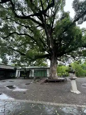 平野神社(京都府)