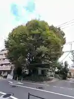 小野神社(東京都)