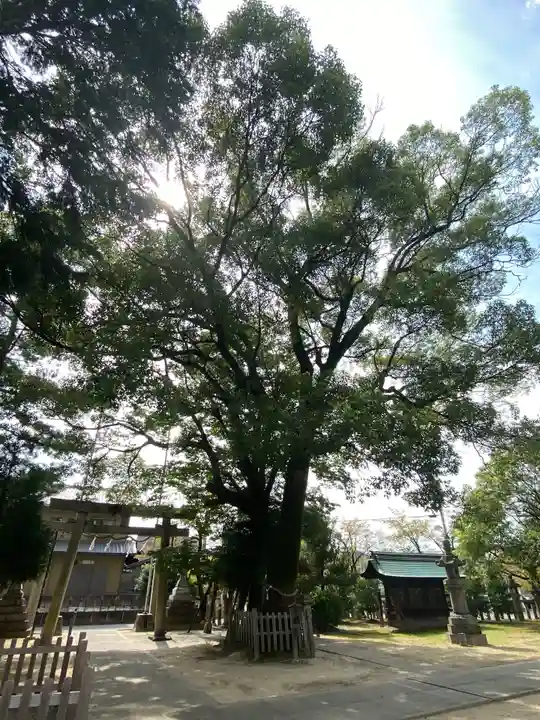 大神神社(花池)の自然