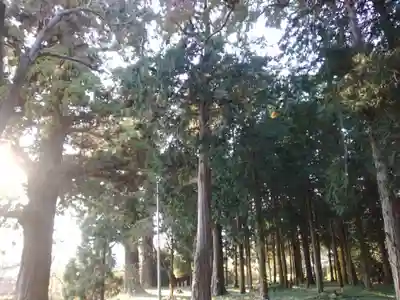 富士山法華本門寺根源のその他建物