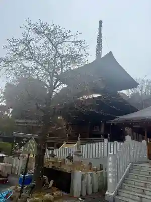 楽法寺(雨引観音)(茨城県)