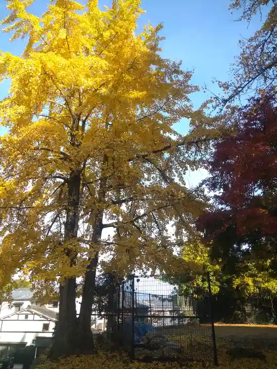 粟島神社の自然