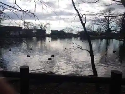 乃木神社の周辺