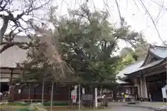 茂林寺の建物その他