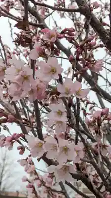 本法寺(京都府)