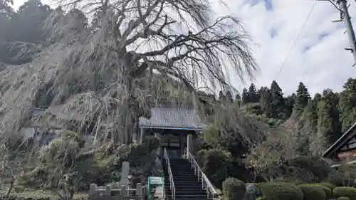 法華寺(福井県)