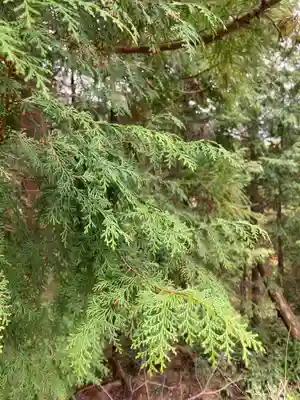 河上神社(兵庫県)