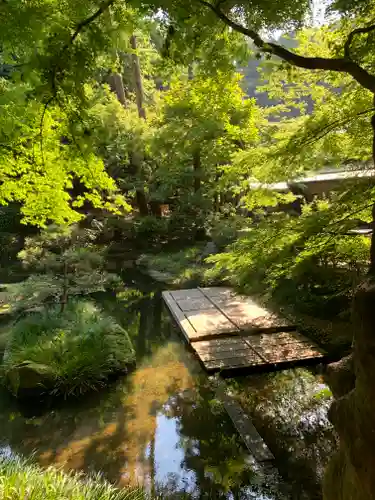 明月院の庭園