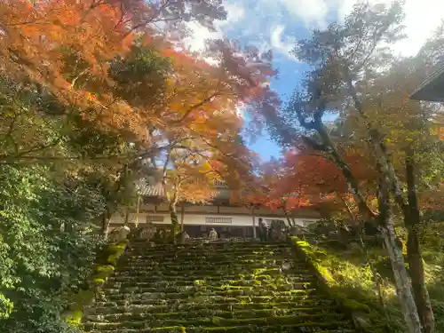 高源寺(兵庫県)