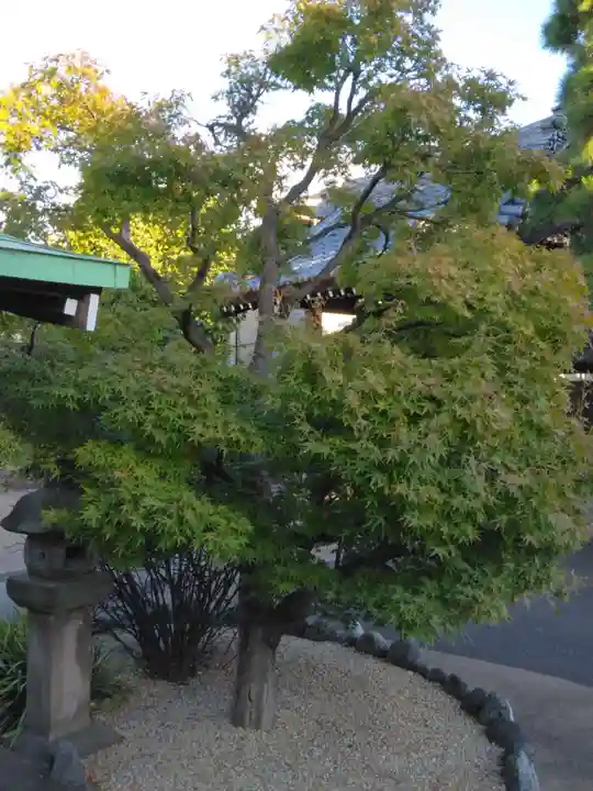 観音寺(神奈川県)