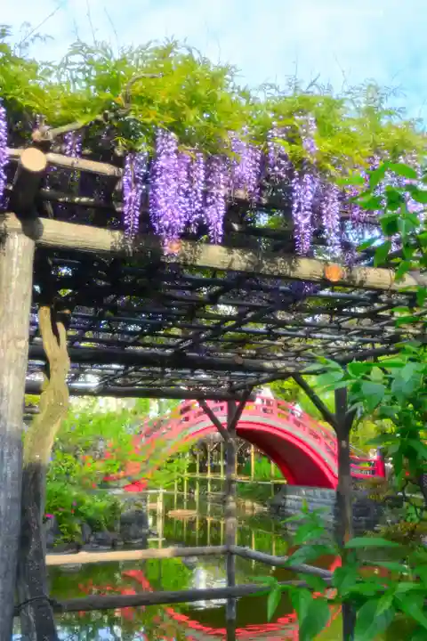 亀戸天神社(東京都)