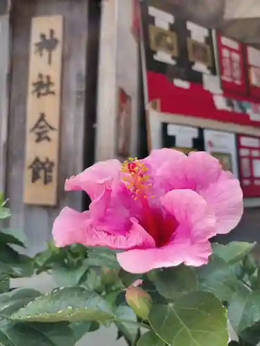 金井神社の自然