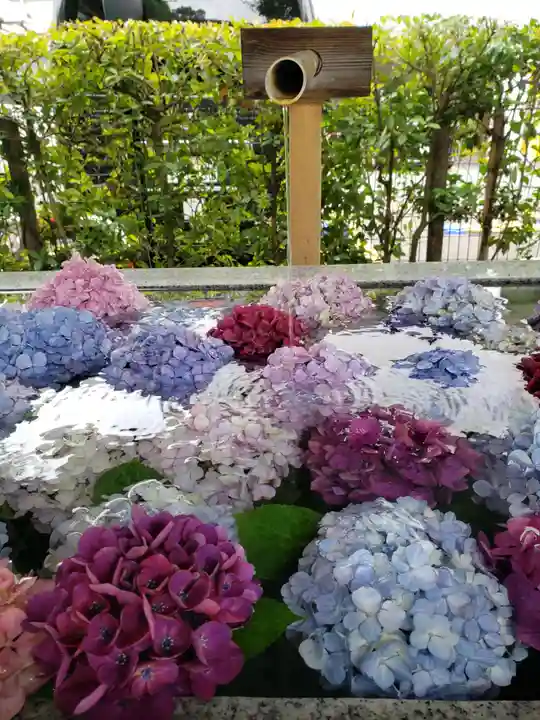 桜神宮(東京都)