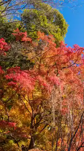 長谷寺(奈良県)