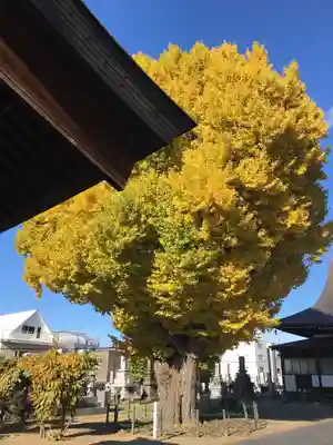 法国寺(北海道)