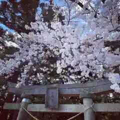 豊景神社の自然